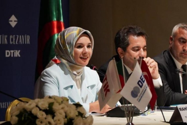 Bakan G&ouml;ktaş Cezayir'de! Ekonomi ve strateji mesajı