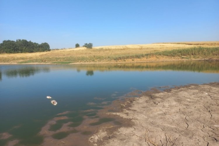 Edirne'de balık &ouml;l&uuml;mleri ile ilgili araştırma başlatıldı
