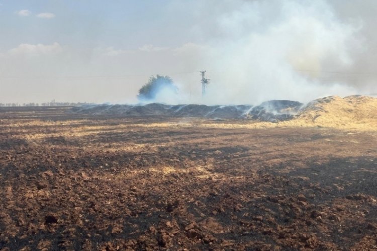 Mardin'de aynı b&ouml;lgede d&ouml;rd&uuml;nc&uuml; yangın: 900 ton saman k&uuml;l oldu