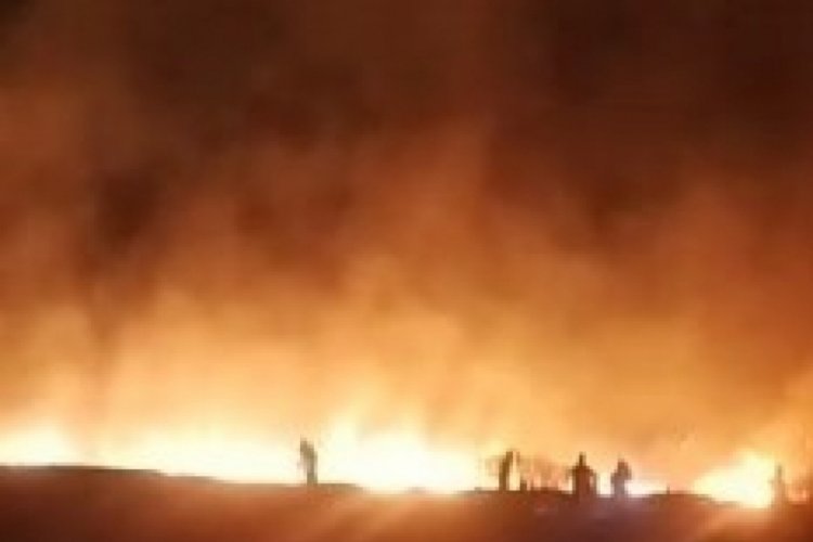 Tunceli'de yangın: 100 d&ouml;n&uuml;ml&uuml;k ekili alan zarar g&ouml;rd&uuml;