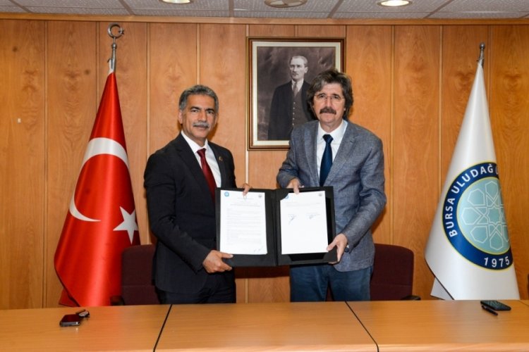 BU&Uuml; ile Gemlik Belediyesi arasında "zeytin" işbirliği