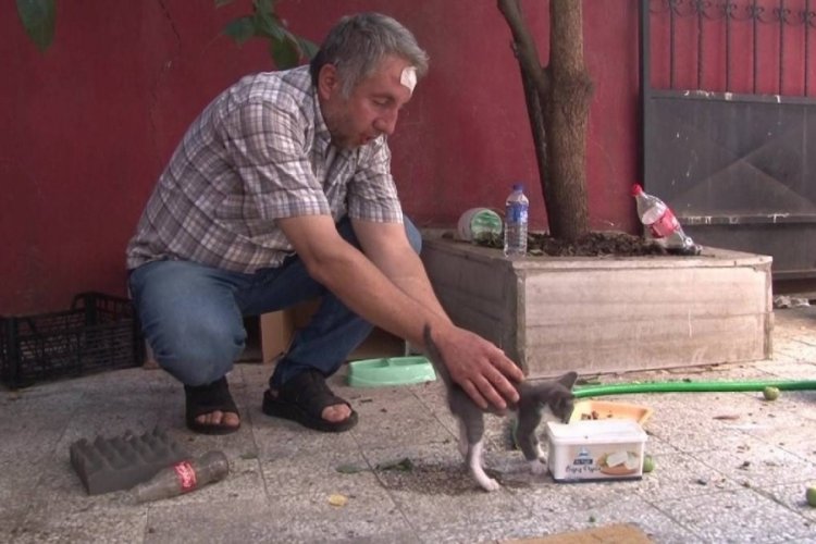 Sokak hayvanlarını beslediği i&ccedil;in darp edildi