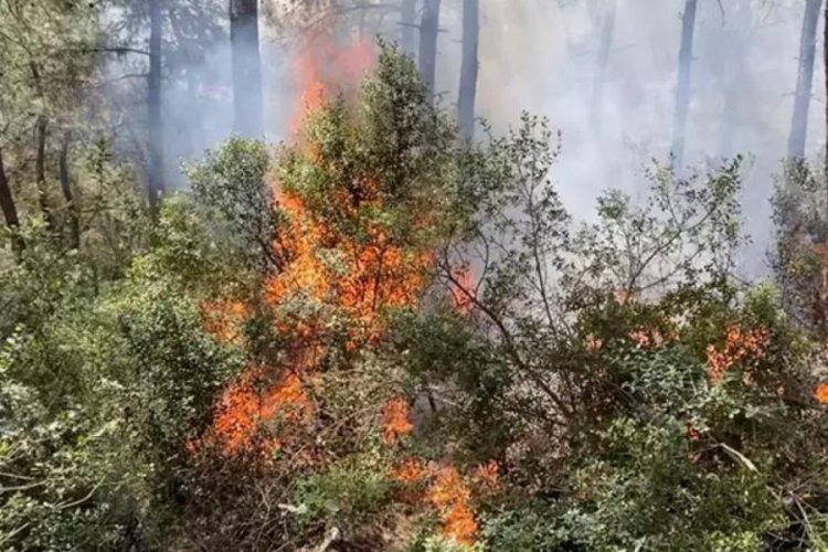 Afet Koordinasyon Merkezi'nden 'orman yangını' uyarısı!