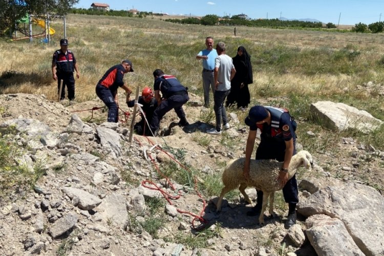 Aksaray'da &ccedil;ay molası dedi! Yolcu kuyuya d&uuml;şen koyuna hayat verdi