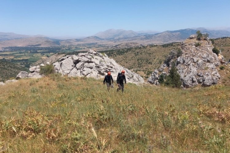 Kahramanmaraş'ta 4 ke&ccedil;i kayalıklarda kaldı! İtfaiye ekipleri yetişti