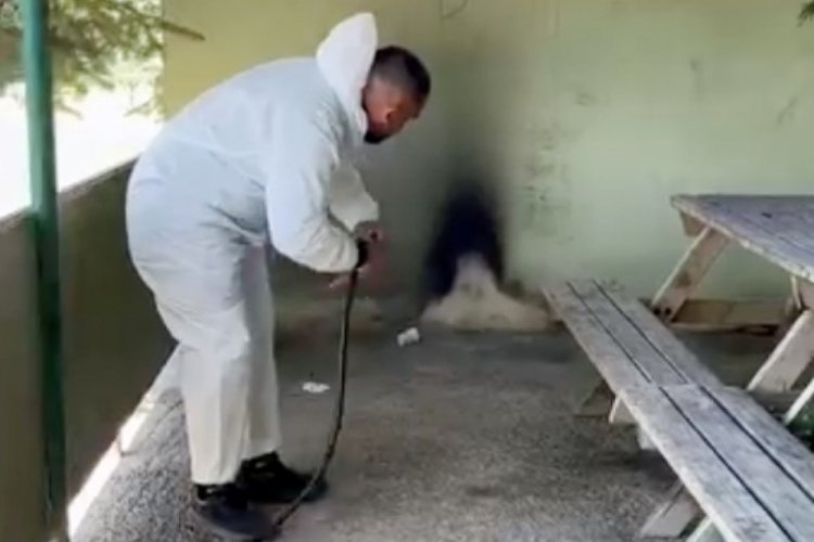 Yozgat'ta haşerelere karşı ila&ccedil;lamalar son s&uuml;rat s&uuml;r&uuml;yor
