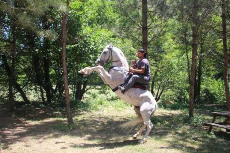 'Allah' denilince şaha kalkan at sosyal medyayı salladı