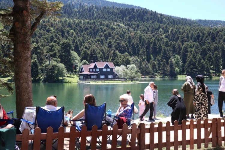 Bolu'da ormanlık alanlar tedbir ama&ccedil;lı yasaklandı