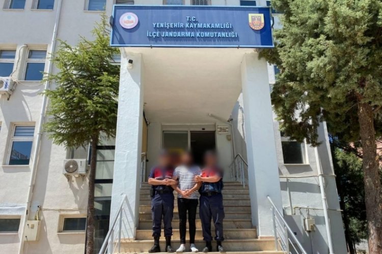 Bursa'da jandarma ele geçirdi! Piyasa değeri yaklaşık 1 milyon TL