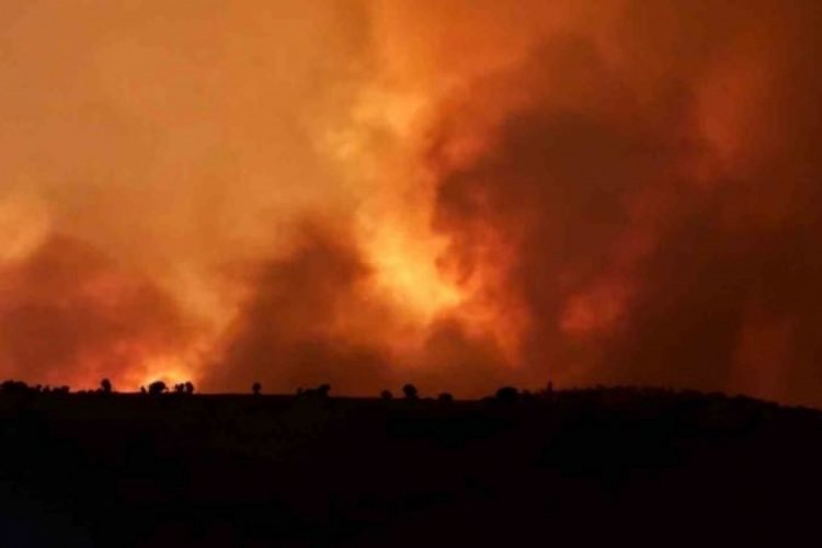 Diyarbakır'da bir orman yangını daha