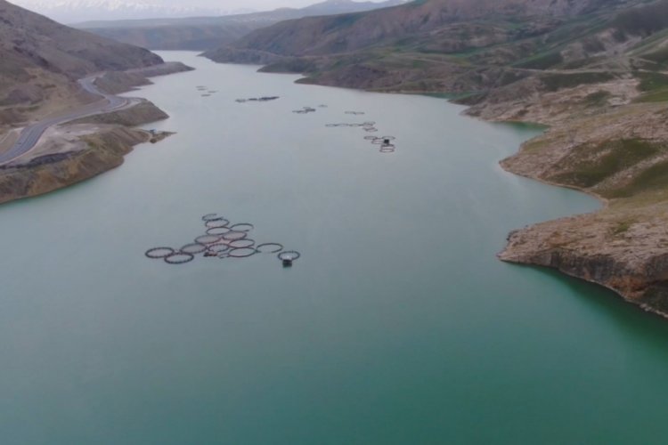 Van'da yağmurlar yağdı! Barajlar rekor ulaştı