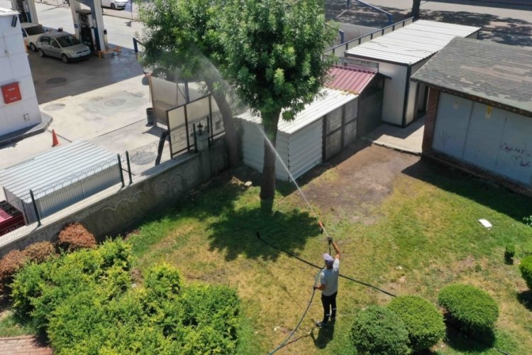 Konya'da haşerelere karşı ila&ccedil;lama titizlikle s&uuml;r&uuml;yor
