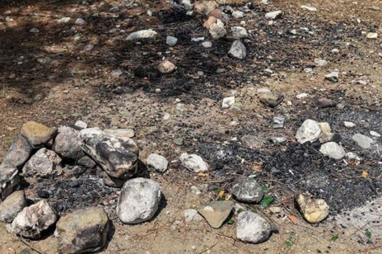 Orman yasakları sonrası mangal duyarsızlığı