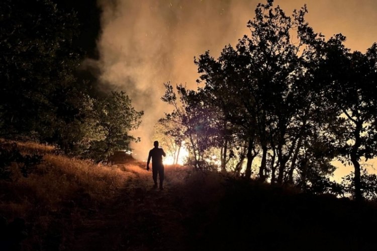 Adıyaman'da dağlık alanda yangın