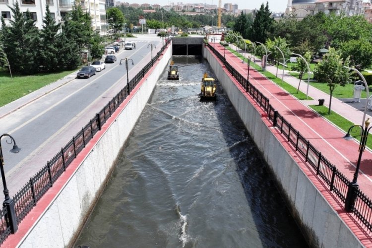 Ankara'da ıhlamur vadisi! Sağlık ve refah i&ccedil;in temizlendi