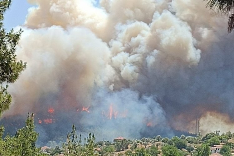 İzmir'de orman yangını: Uçaklar ve helikopterler bölgede