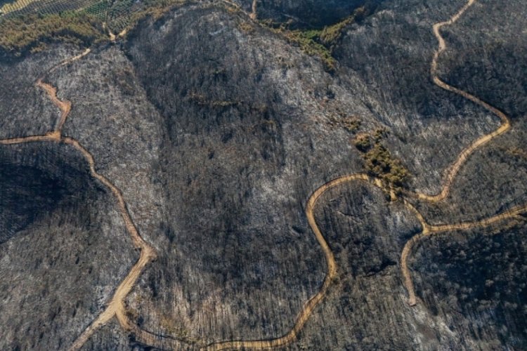 İzmir'de yanan orman alanının havadan görüntüleri ortaya çıktı