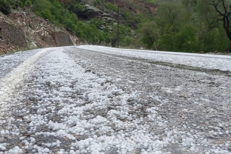 Erzincan'da fındık b&uuml;y&uuml;kl&uuml;ğ&uuml;nde dolu yağdı