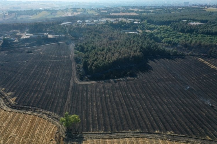 Bursa'da yangından zarar gören kampüsteki ormanlık alan dronla görüntülendi
