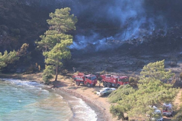 Marmaris'teki orman yangınıyla ilgili 3 g&ouml;zaltı kararı