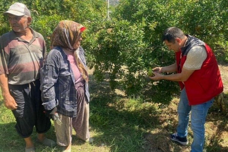 Muğla'da 'zararlı' kontrol&uuml; titizlikle ger&ccedil;ekleştirildi