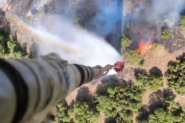 Bursa Valisi Demirtaş'tan orman yangınlarının önlenmesi hakkında emir!