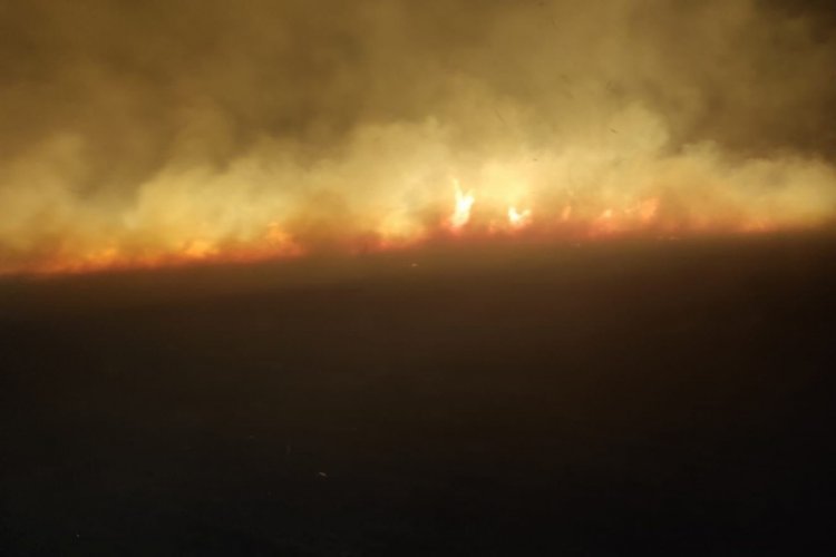 Diyarbakır'da orman yangını!