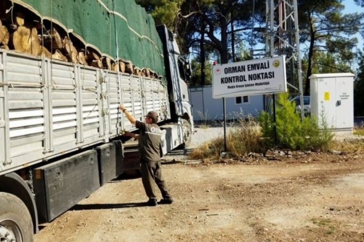 Muğla'da sıkı denetim! 'Orman Emvali' noktasında 