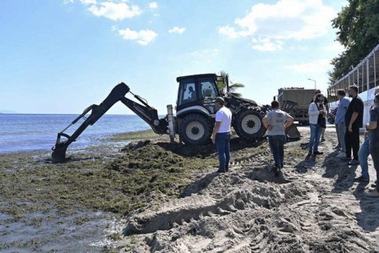 Tekirdağ'da sahilde temizlik: Kep&ccedil;e kep&ccedil;e yosunlar toplandı