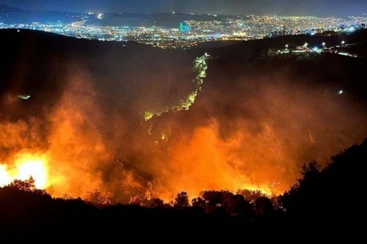 Bornova'daki orman yangınının sebebi belli oldu