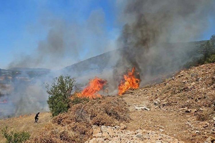 Muğla'daki orman yangınına havadan ve karadan müdahale ediliyor