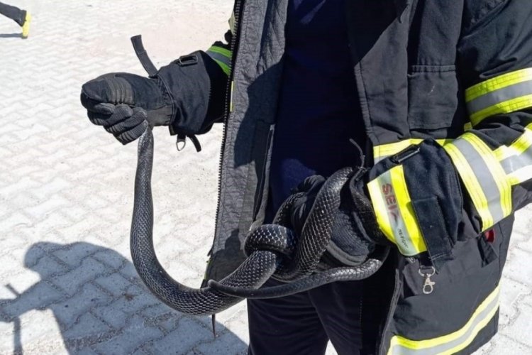 Hatay'da eve giren yılanı itfaiye ekipleri m&uuml;dahale etti