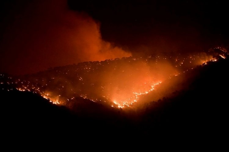 Yunanistan'da orman yangınları: 5 yaralı
