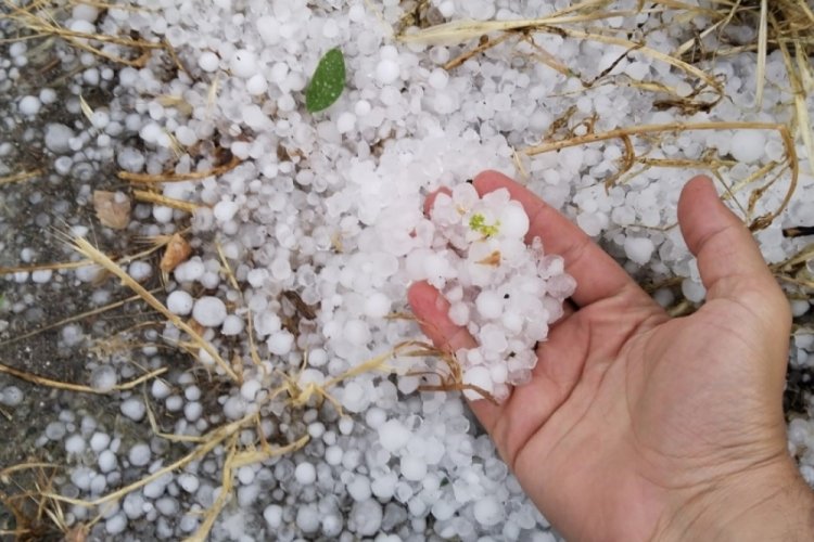 Erzincan'da  dolu yağdı! K&ouml;yleri sel vurdu