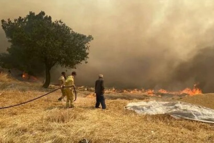 Diyarbakır Tarım Konseyi İcra Kurulu, yangınlara karşı uyardı