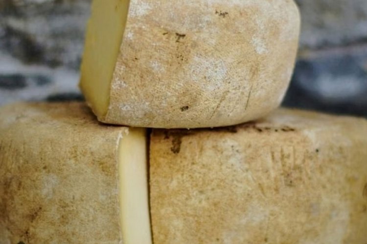 180 kilo kaşar peyniri çalan polis meslekten atıldı