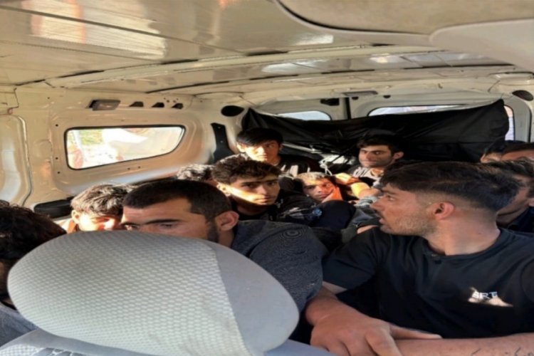 Hafif ticari araçtan 15 göçmen çıktı!