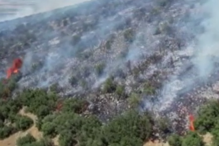 Kahramanmaraş'ta makilik alanda yangın