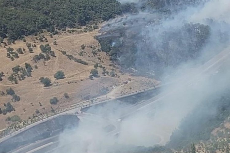 İzmir'de orman yangını!