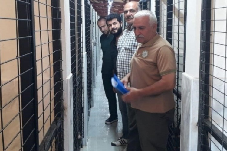 Elazığ'da denetim! Hayvan Bakımevinde titizlikle kontroller sağlandı