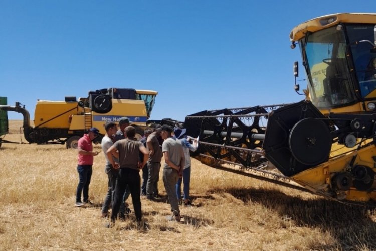 Niğde'de hasat zamanı! &Ccedil;ift&ccedil;ilere uyarı