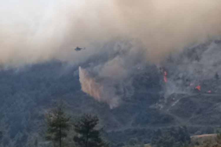 İzmir Valisi Elban: Yangında 7 ev hasar gördü