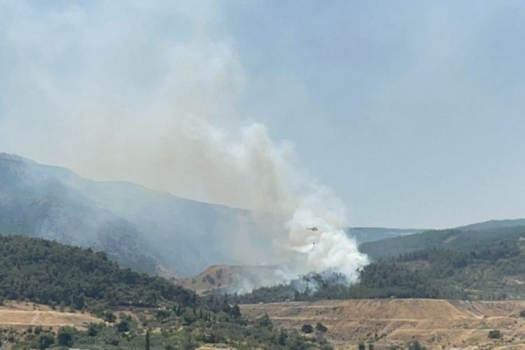 İzmir, Manisa, Balıkesir ve Kahramanmaraş'ta orman yangını