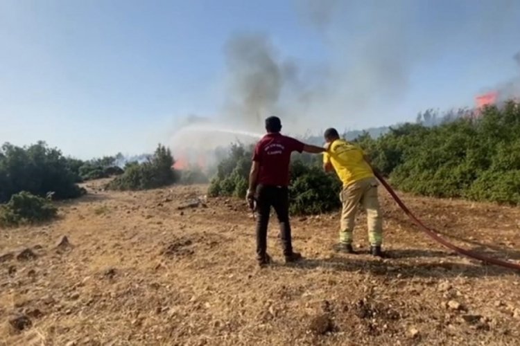 Kahramanmaraş'ta iki farklı bölgede orman yangını!