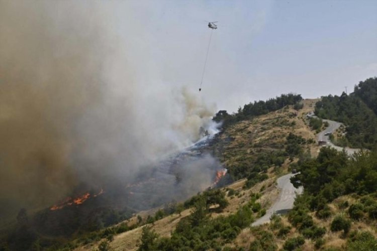 İzmir ve Balıkesir'deki orman yangınları sürüyor