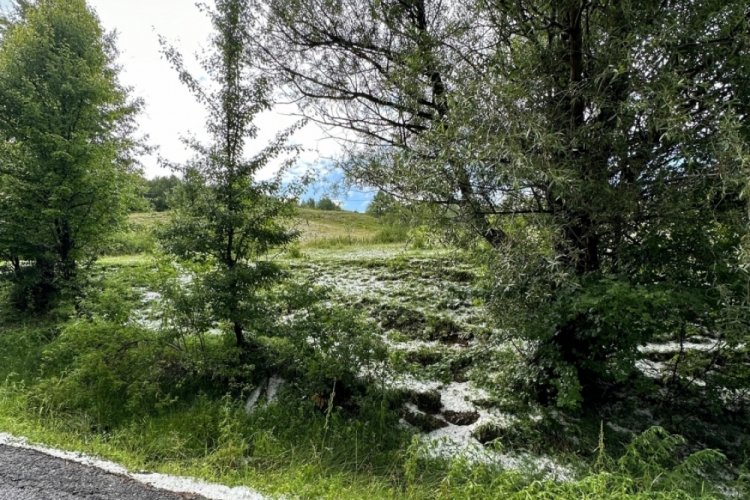 Ardahan'da dolu yağdı! K&ouml;yleri sel vurdu