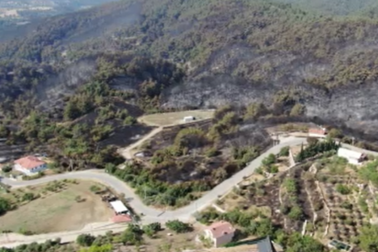 İzmir'deki orman yangının boyutu gün ağarınca ortaya çıktı