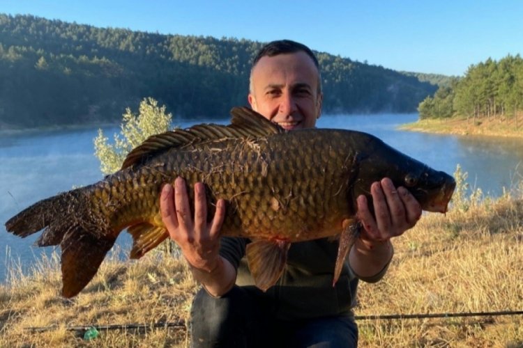 K&uuml;tahya'da avcının ağına! 10 kilo 850 gram sazan balığı takıldı