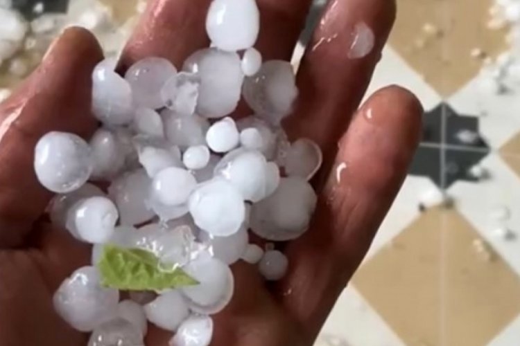 Manisa'da etkili olan dolu yağışı tarım alanlarını vurdu