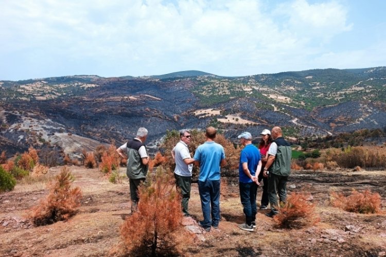 Bursa'da çıkan orman yangınında zarar gören alan yeniden ormanlaştırılıyor